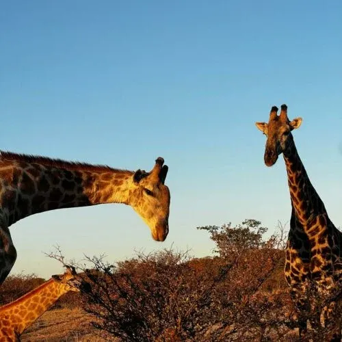 Botswana