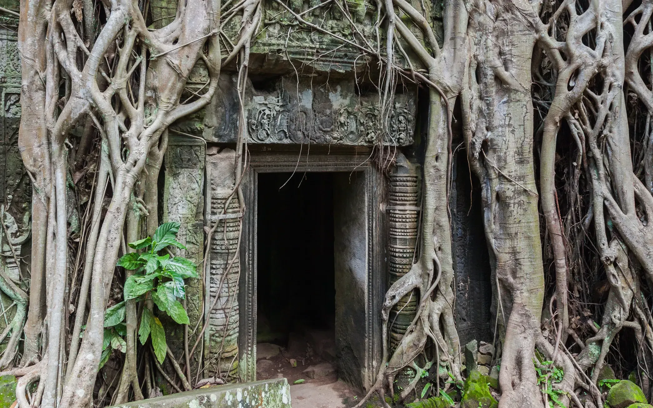 Vue de Cambodge