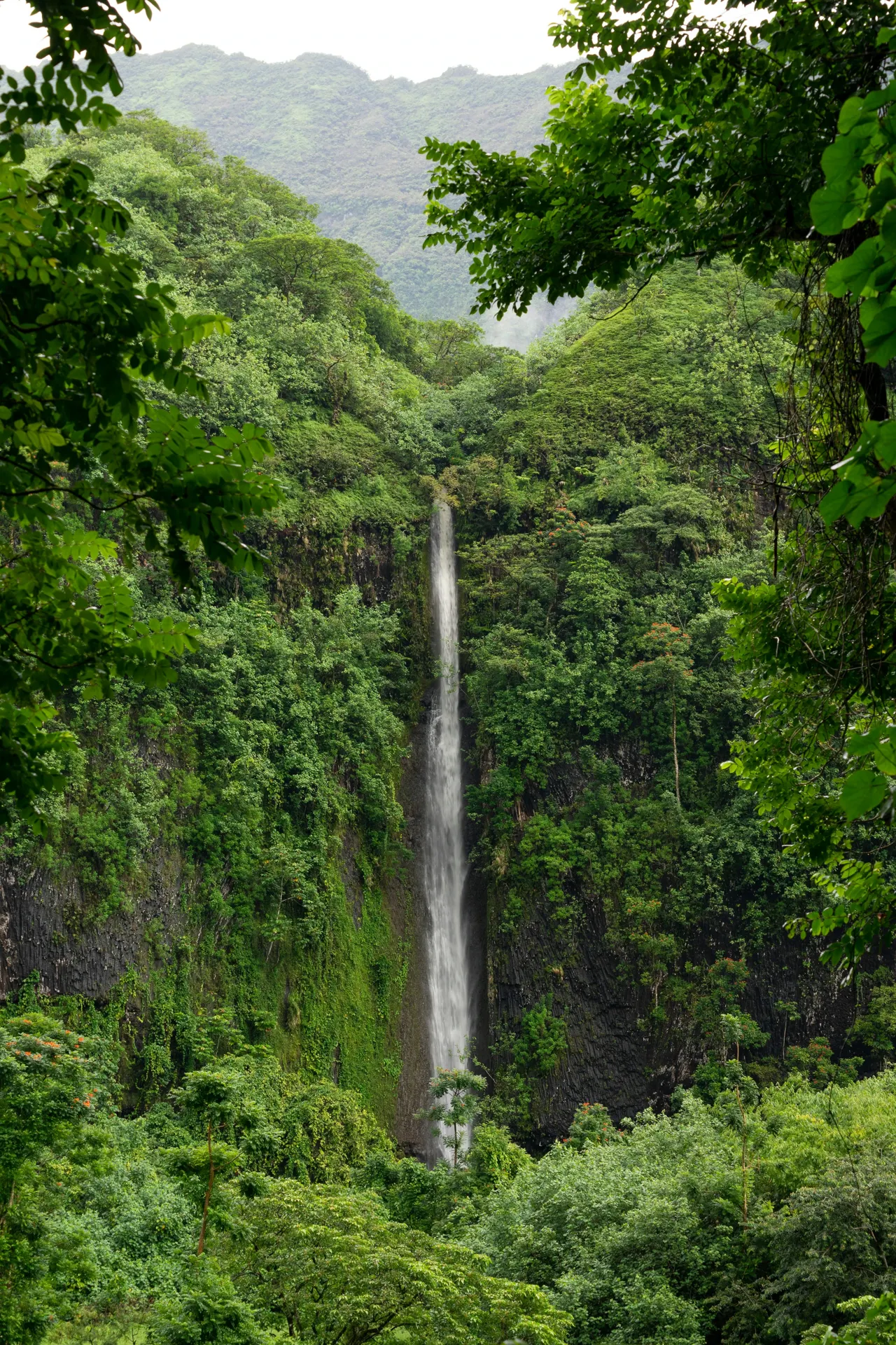 Cascade au milieu de la forêt tropicale de Tahiti