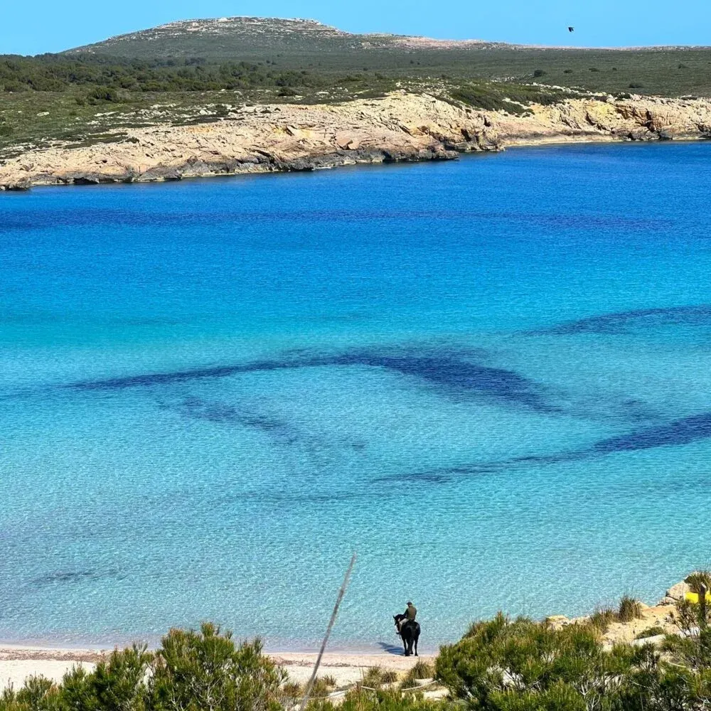 Illes gregues