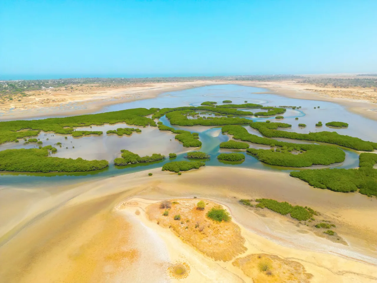 Les îles et les paysages du delta du Sine-Saloum, au Sénégal