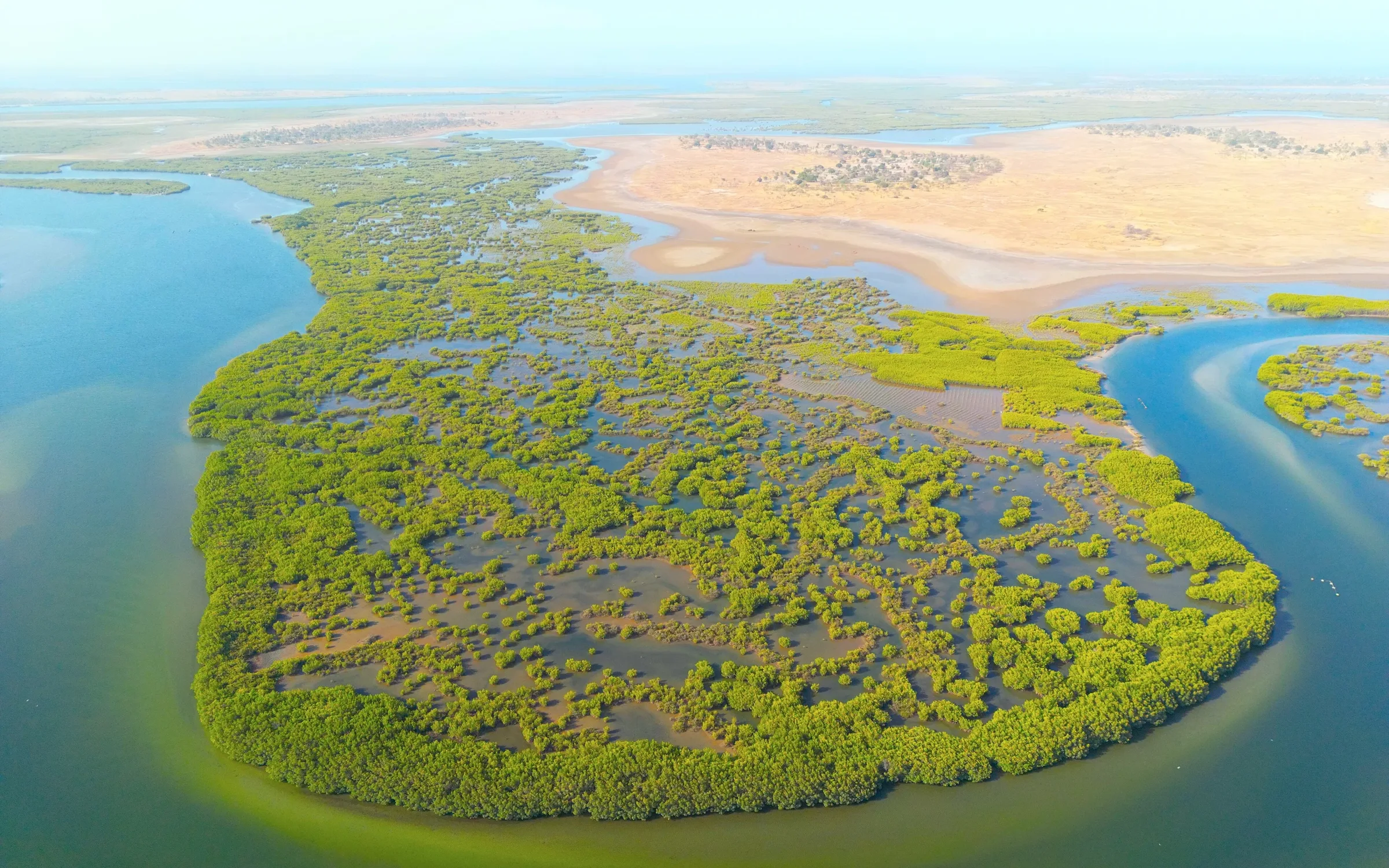 Les îles et les paysages du delta du Sine-Saloum, au Sénégal