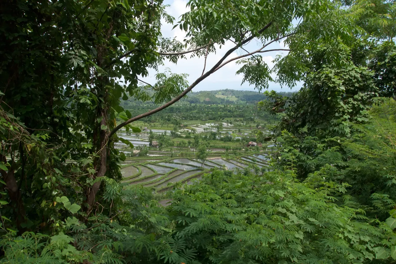 Vue de Indonésie