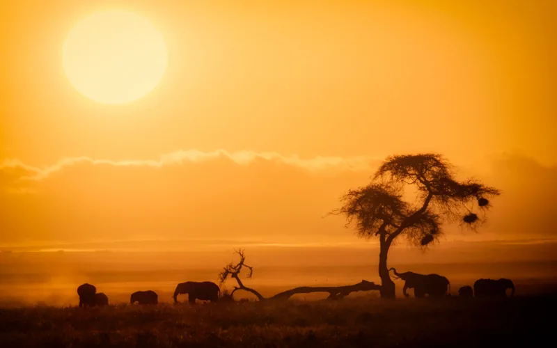 Le lever du soleil dans le parc d’Amboseli, au Kenya