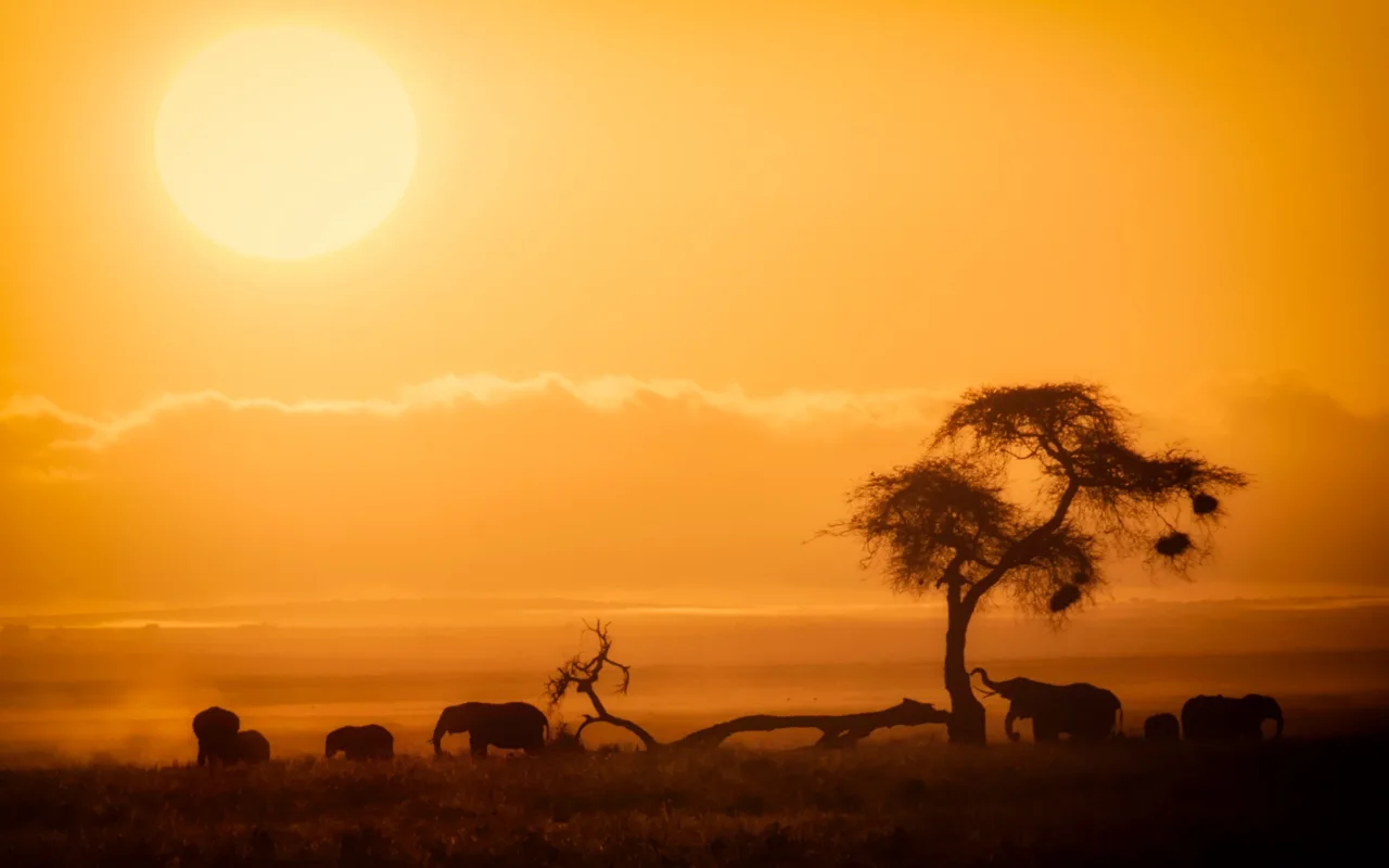 Le lever du soleil dans le parc d’Amboseli, au Kenya