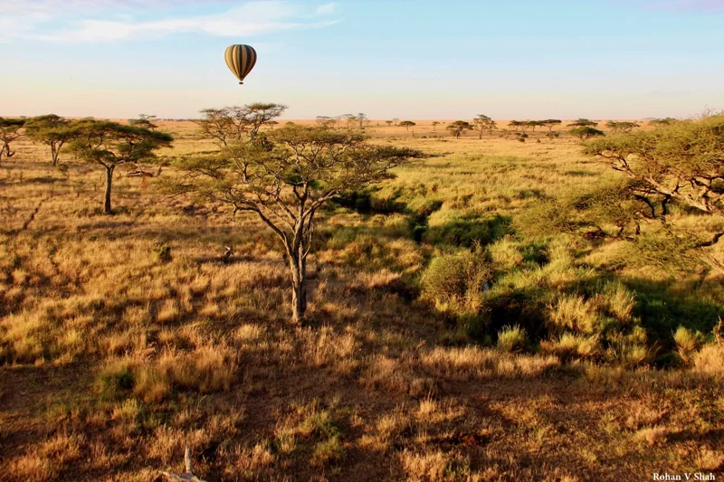 Montgolfière dans la lumière du matin au Serengeti