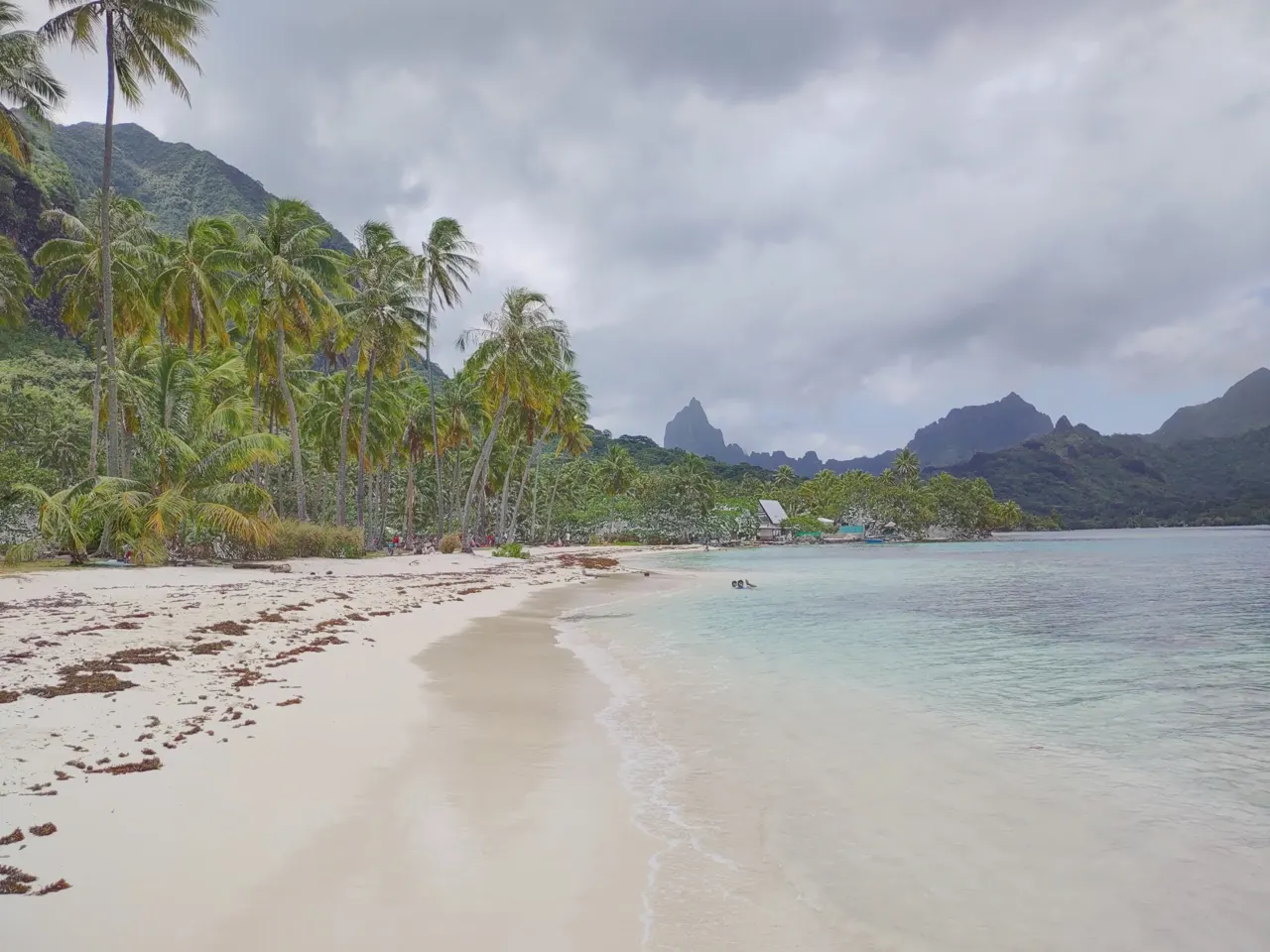 Vue de Moorea