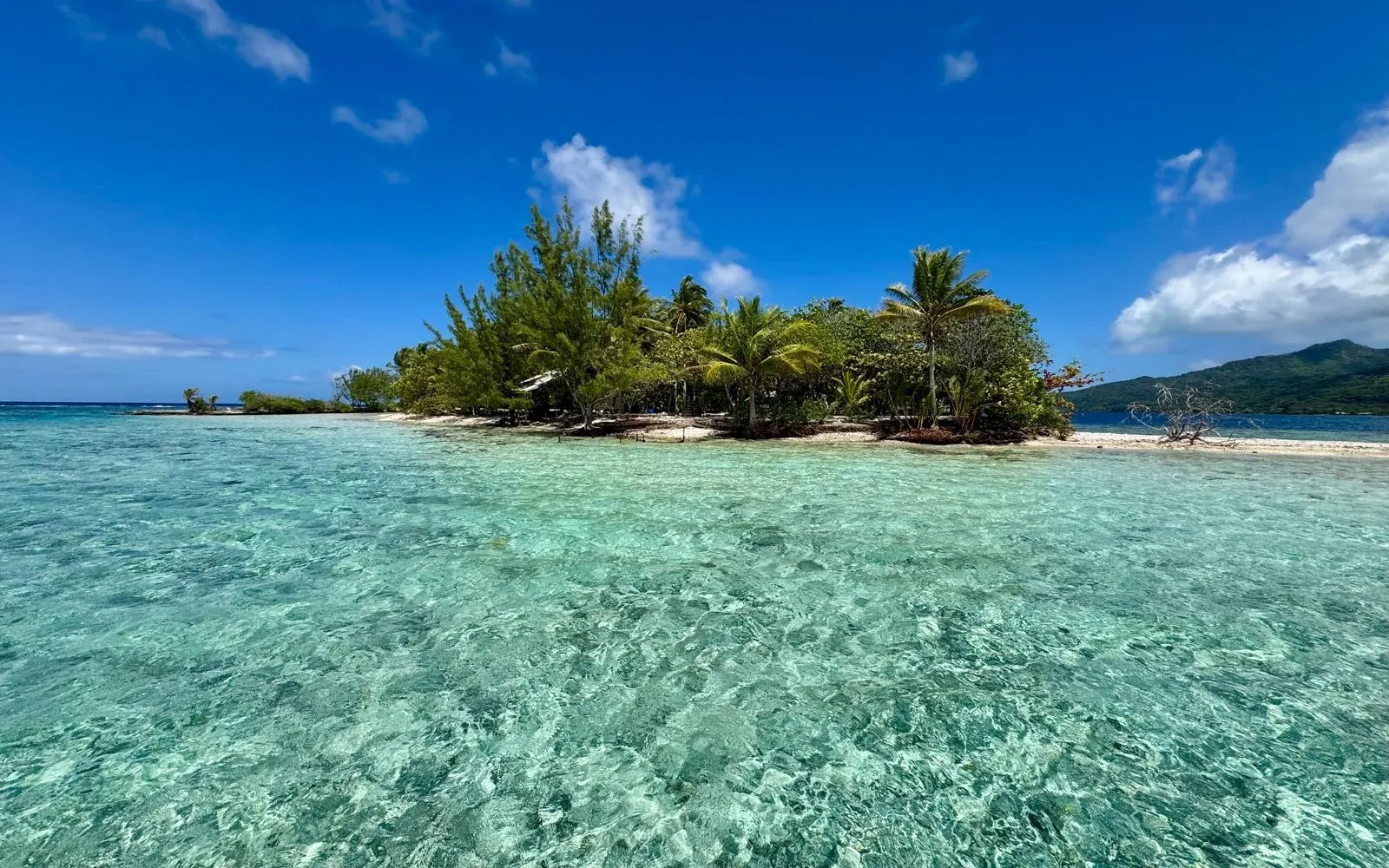 Un motu et son lagon en Polynésie française