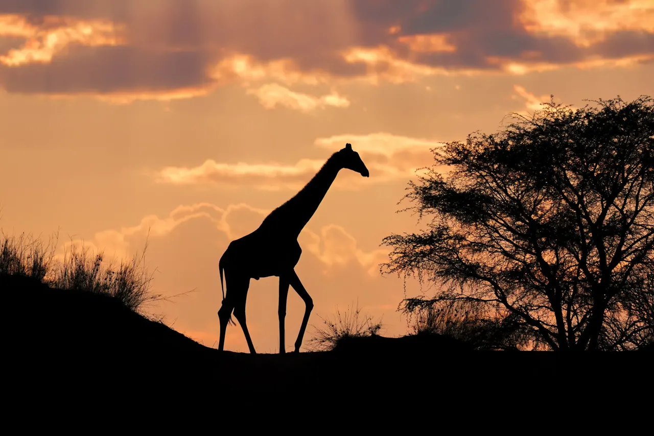Vue de Namibie