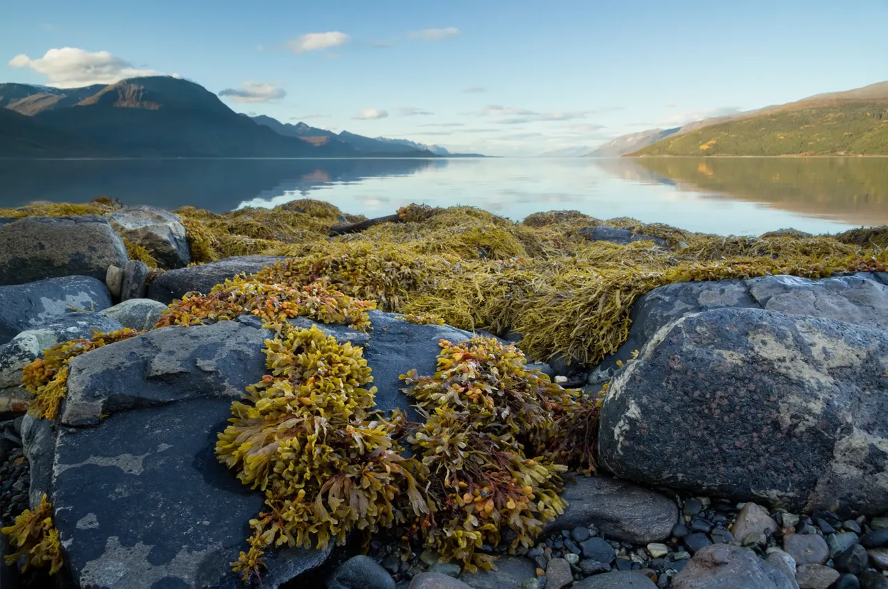 Vue de Norvège