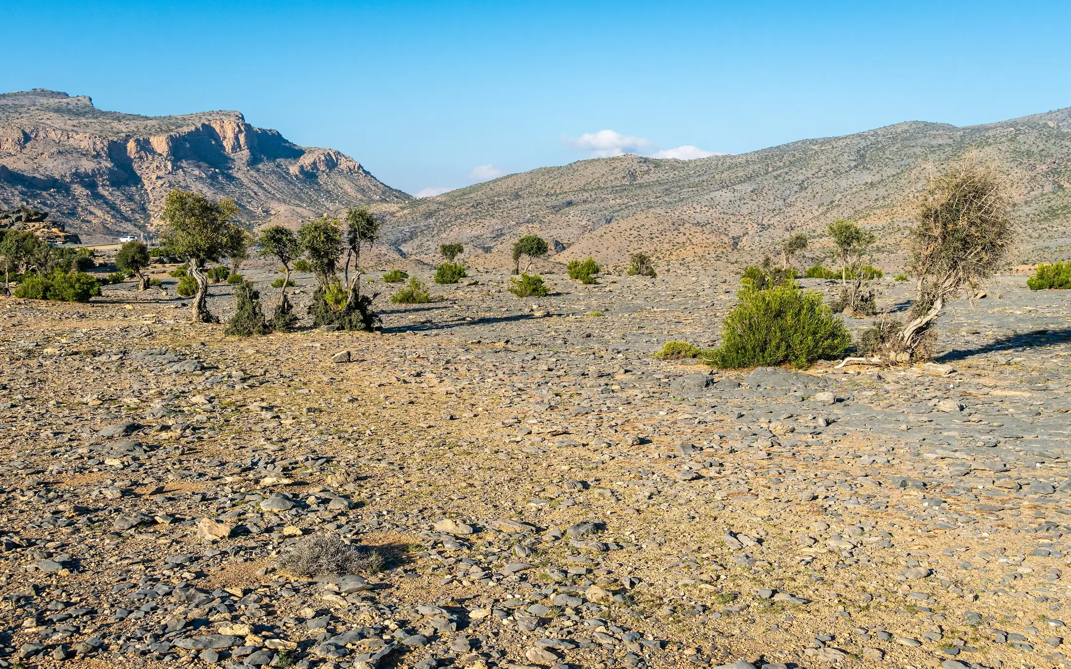 Vue de Oman