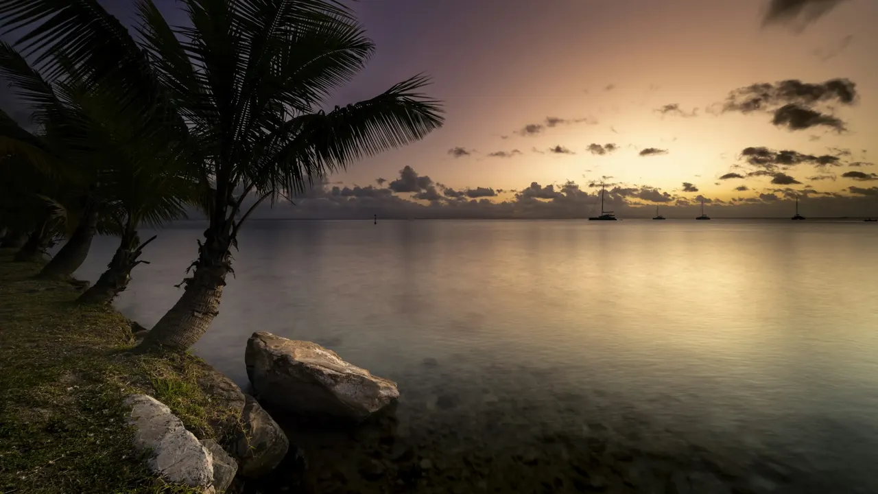 Palmier et plage au coucher du soleil à Huahine
