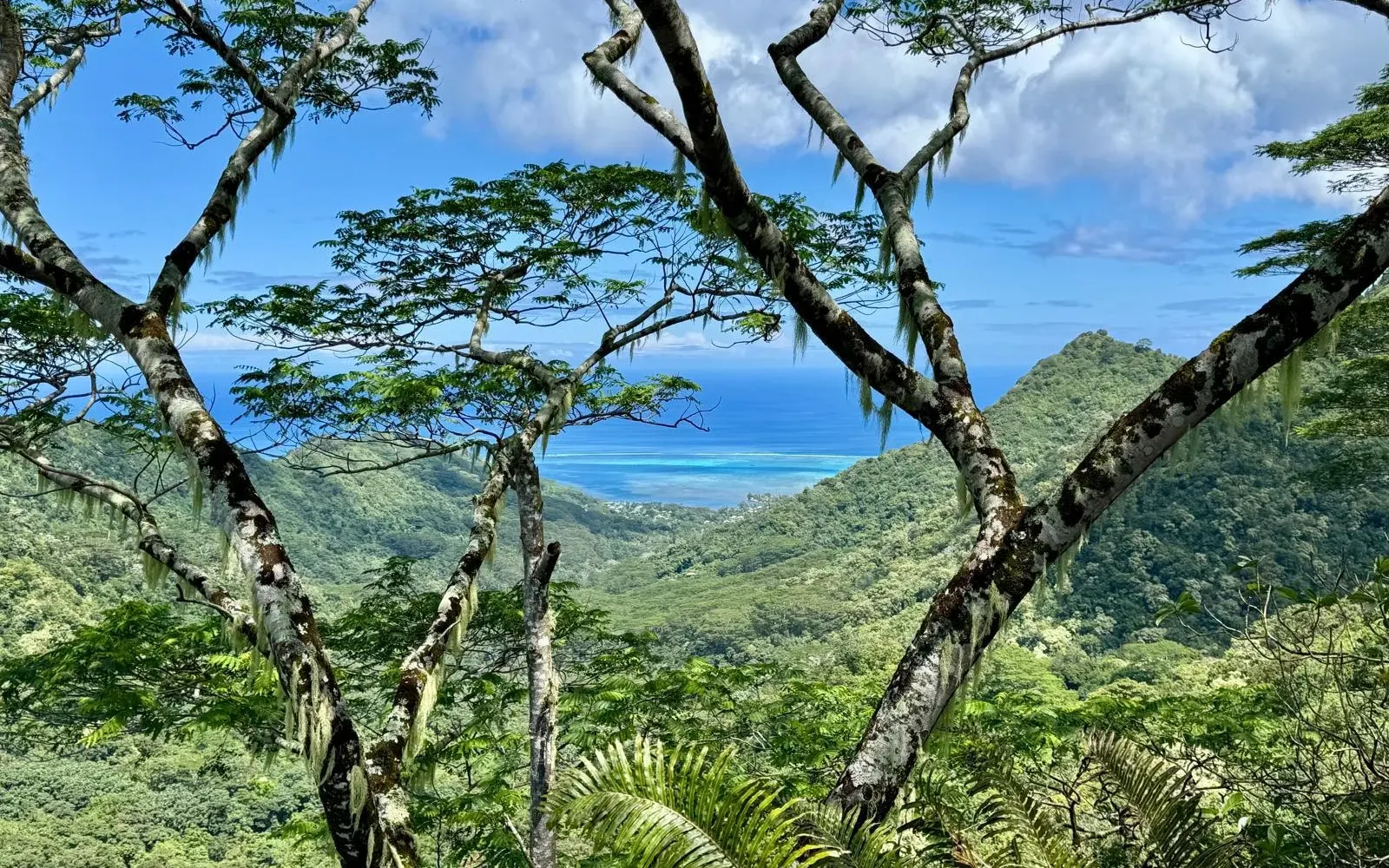 Paysage de Polynésie publié par Odyssée Voyages