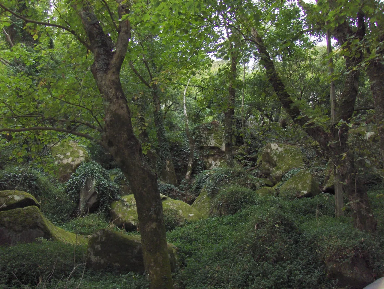 Els paisatges de la serra de Sintra