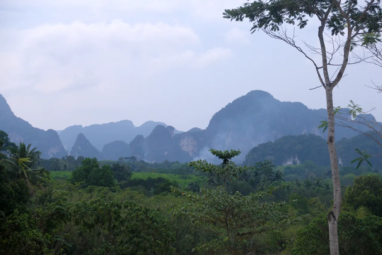 Les paysages tropicaux de Krabi