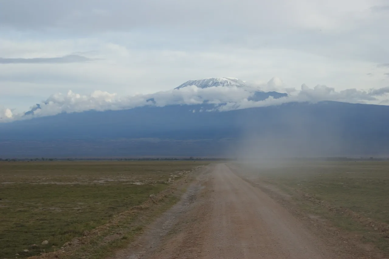 Une piste d’Amboseli avec le Kilimandjaro en arrière-plan