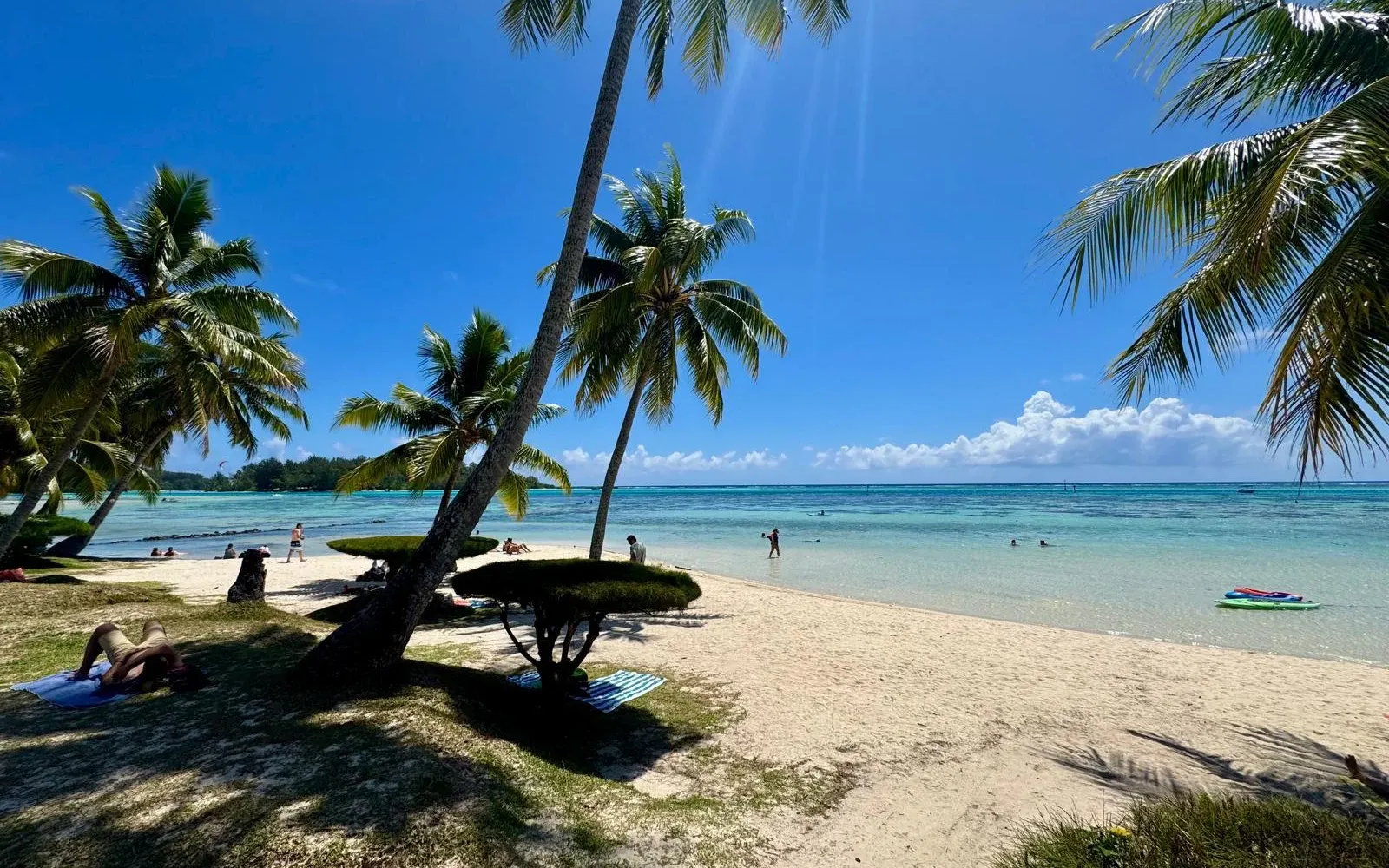 Plage et cocotiers en Polynésie française