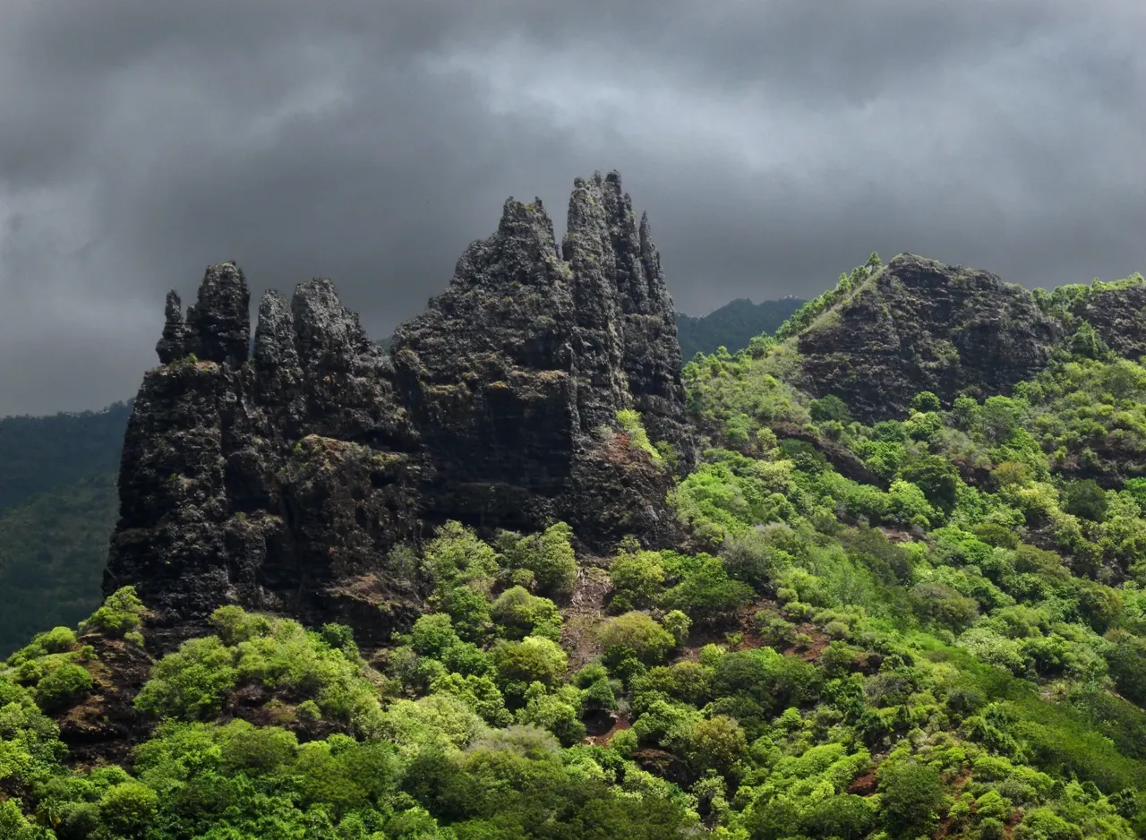 Vue de Polynésie française