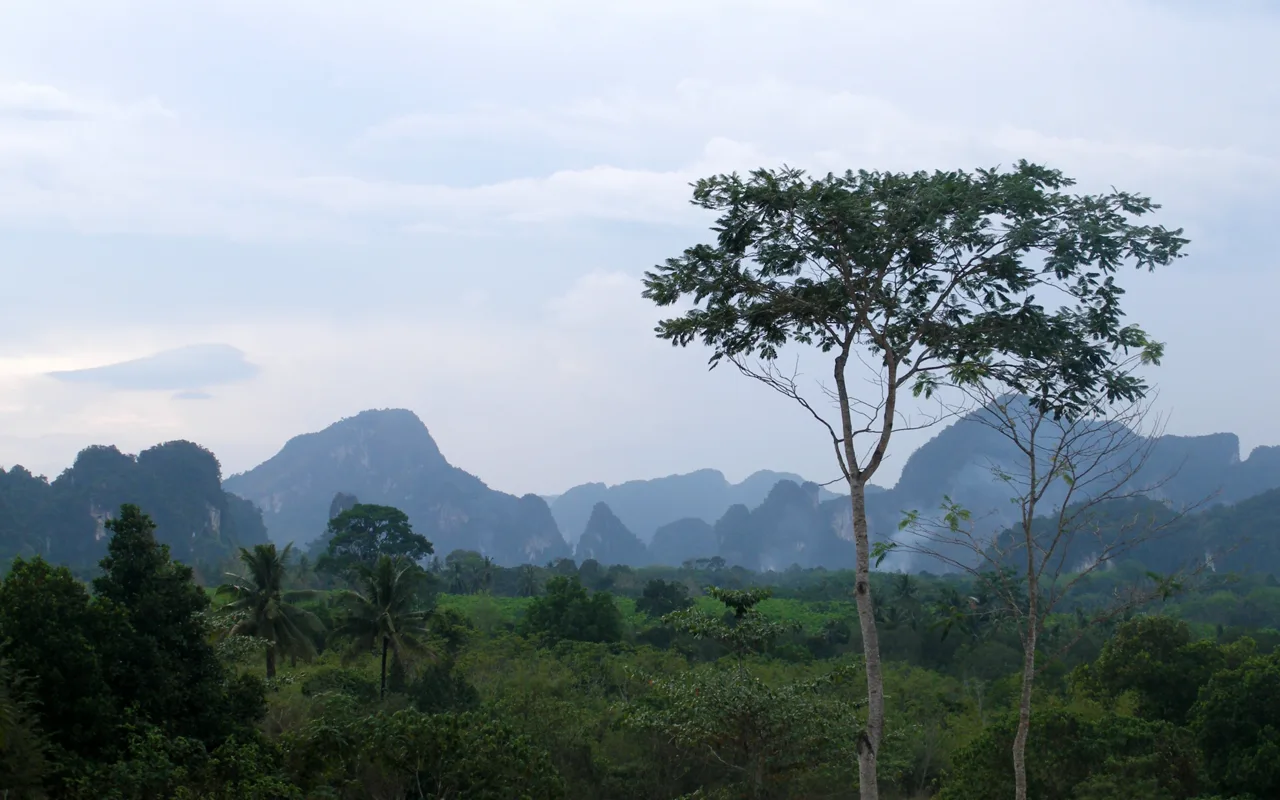 Les reliefs calcaires de Krabi, en Thaïlande