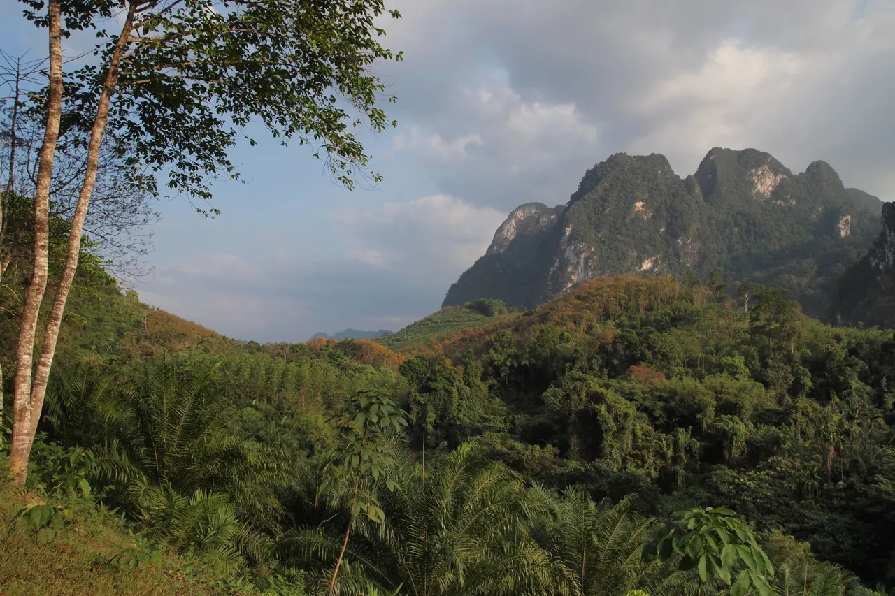 Les reliefs et la forêt de Khao Sok, en Thaïlande