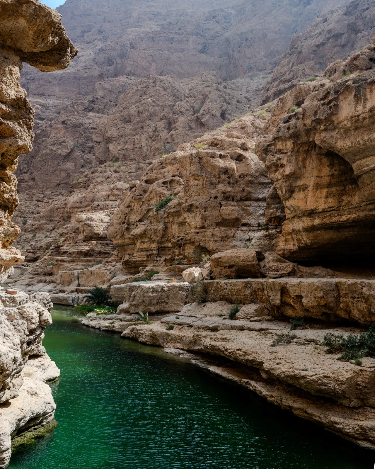 Rivière émeraude entre les parois d’un canyon à Oman