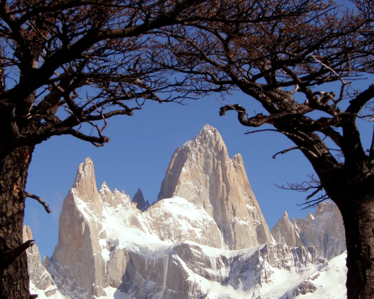 Sommets du Fitz Roy encadrés par les arbres en Patagonie
