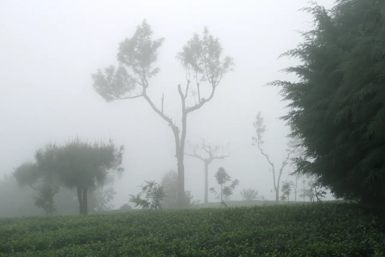 Vue de Sri Lanka