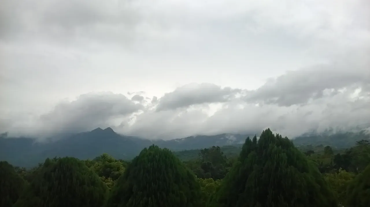 Vue de Sri Lanka
