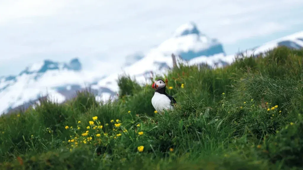 Svalbard
