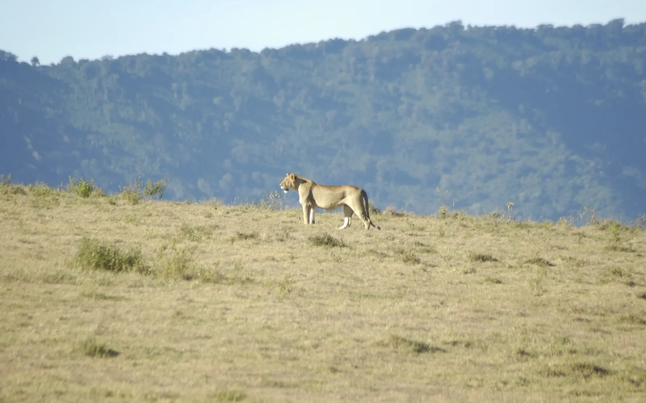 Vue de Tanzanie