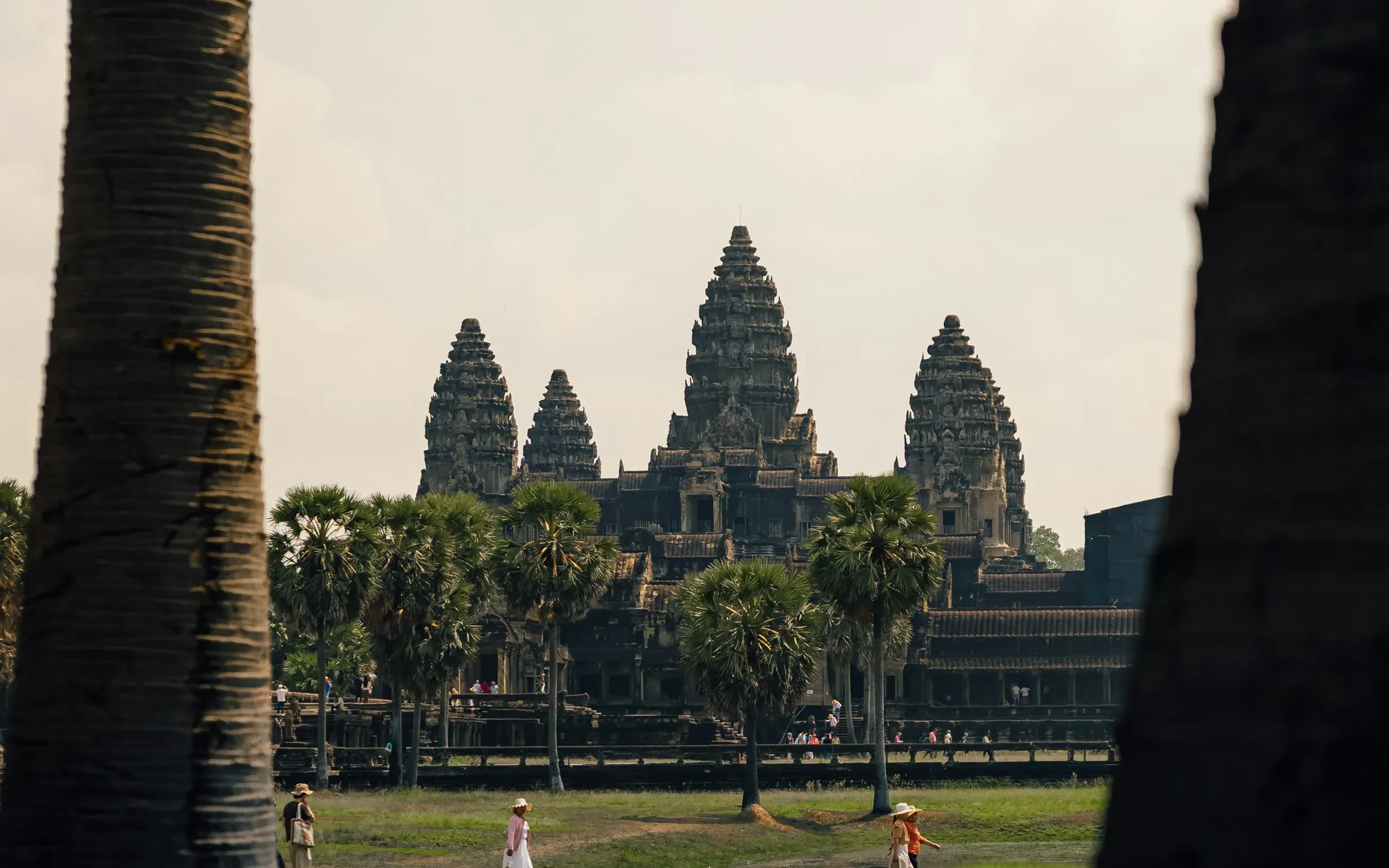 Les temples d’Angkor dans leur paysage arboré, au Cambodge