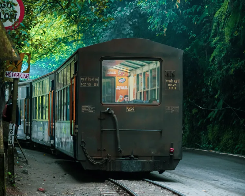 Train de montagne de Darjeeling dans un paysage verdoyant en Inde
