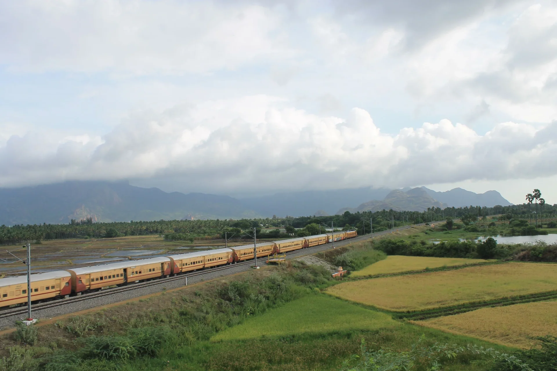 Train traversant un paysage verdoyant de l’Inde