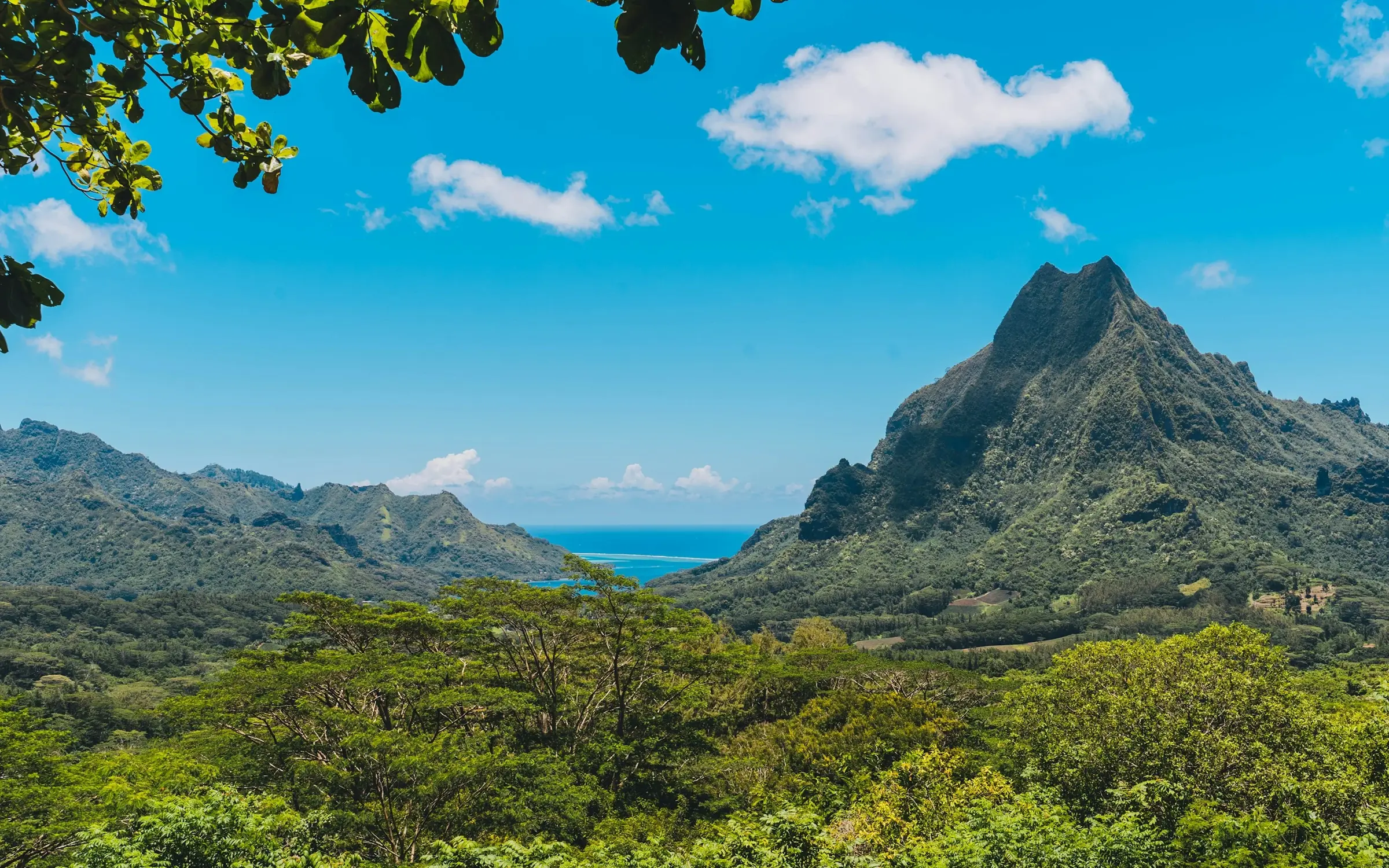 La vallée et les reliefs de Moorea depuis la route du Belvédère