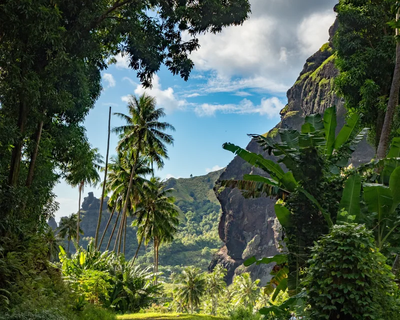Vallée verdoyante et palmiers de Fatu Hiva aux îles Marquises