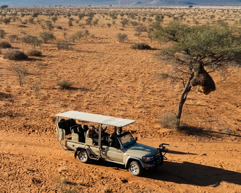 Un véhicule tout-terrain dans les grands espaces de Namibie