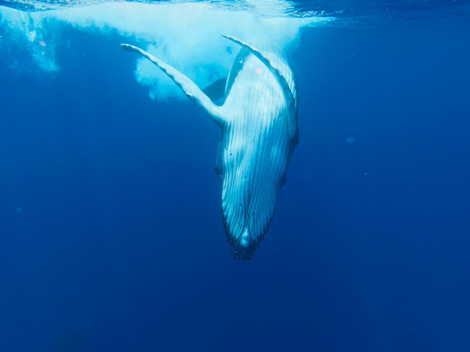 WhatsApp Image 2026-01-24 at 14.30.14 (13)