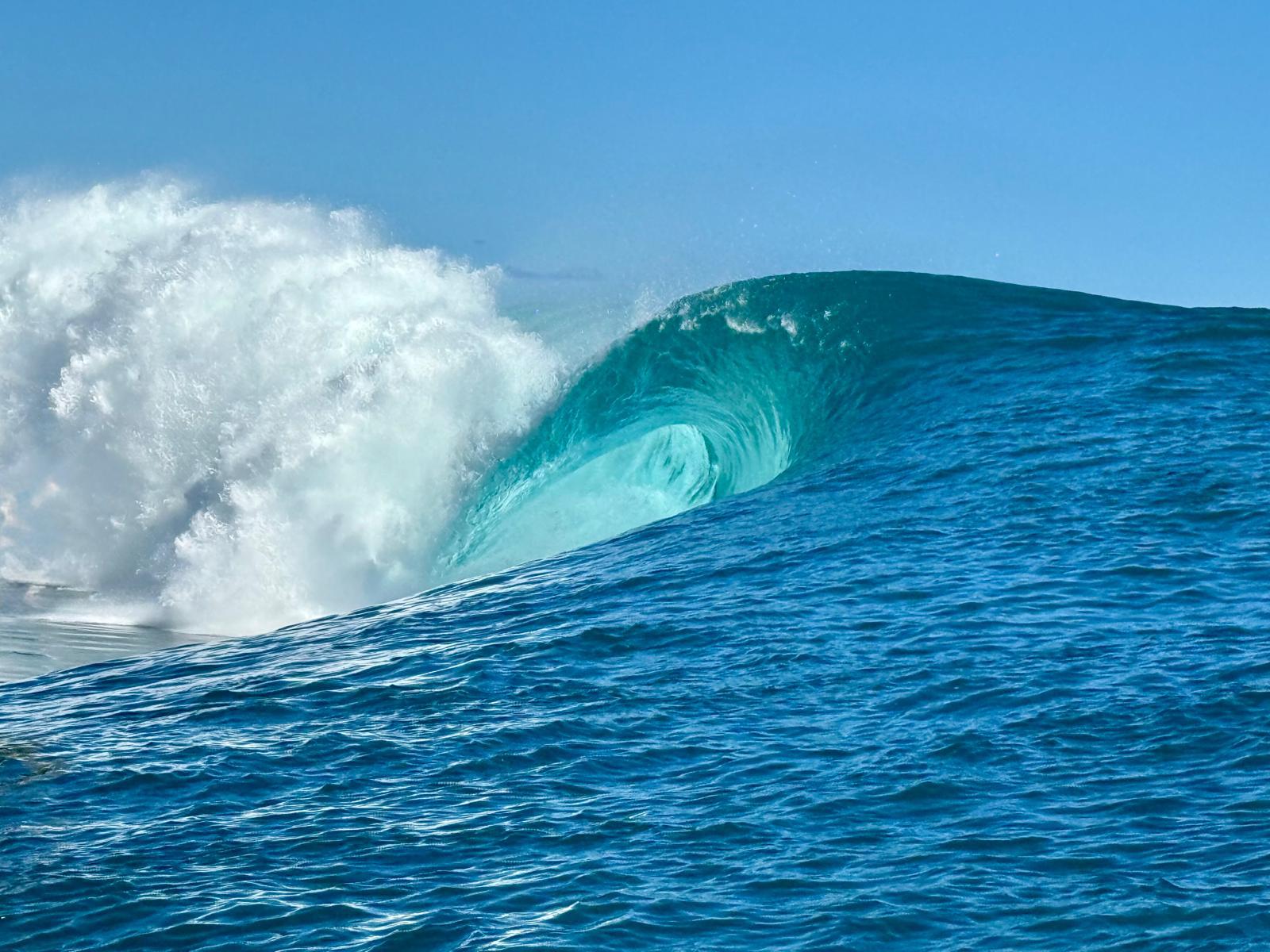 WhatsApp Image 2026-01-24 at 14.30.14 (2)