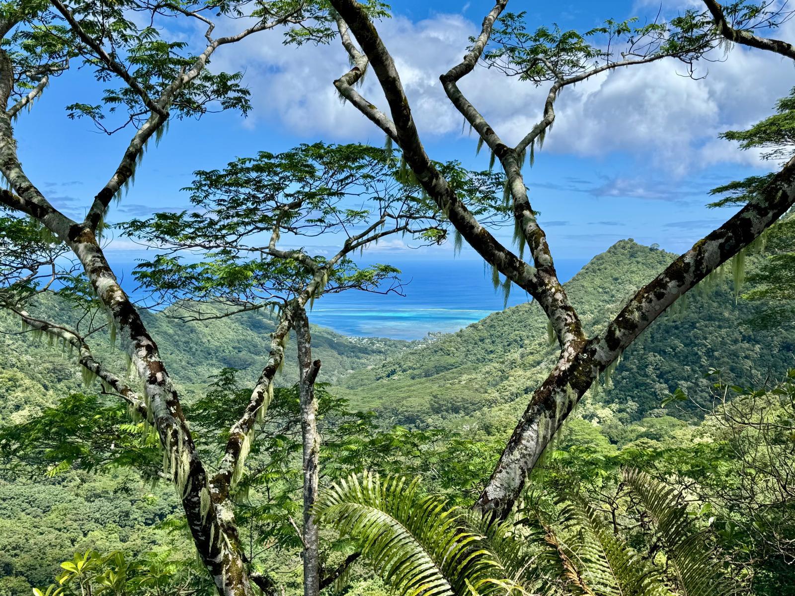 WhatsApp Image 2026-01-24 at 14.30.14 (3)