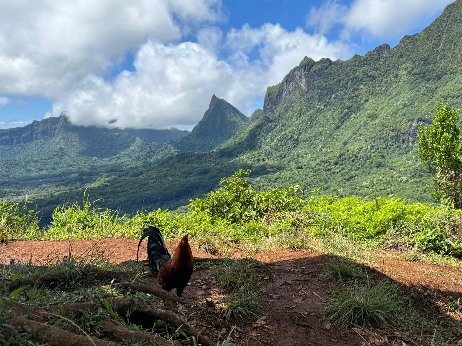 WhatsApp Image 2026-01-24 at 14.30.14 (4)