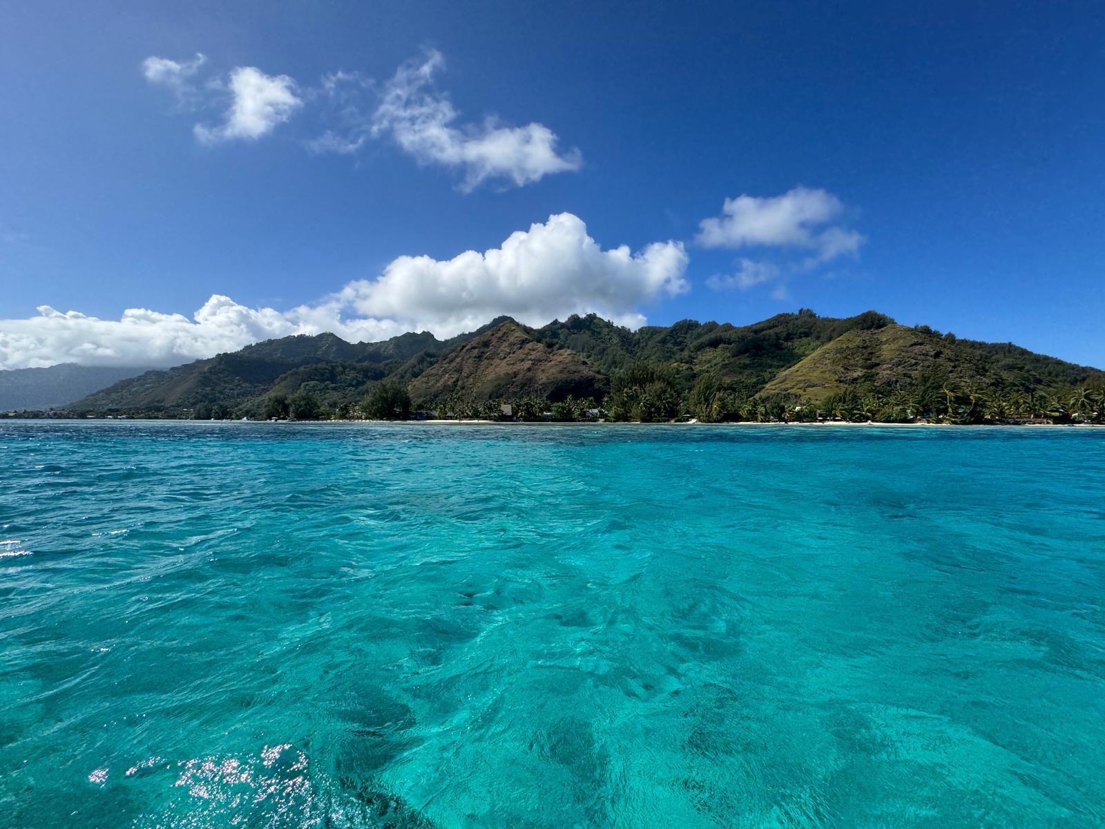 WhatsApp Image 2026-01-24 at 14.30.14 (6)